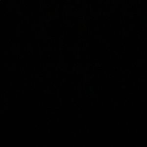 Meet your Posher, Ashlee